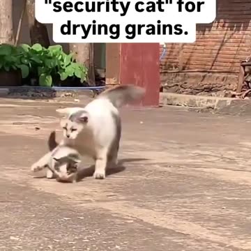 Security guard making the rounds