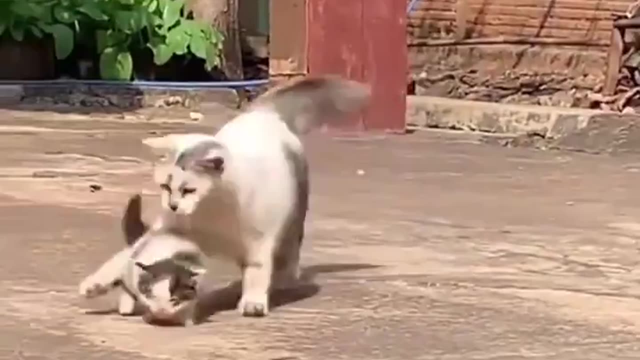 Security guard making the rounds