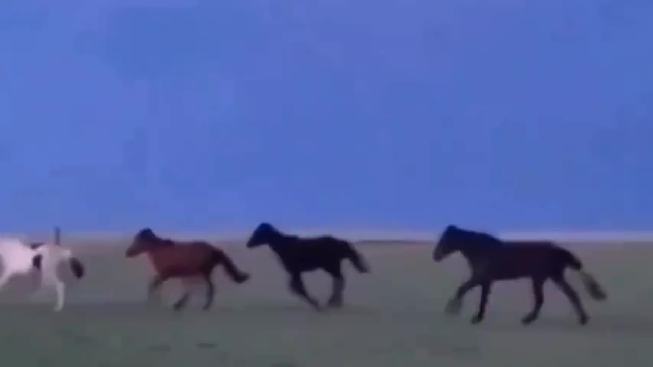But Ma, I've Gotta Try!