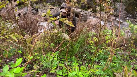Building a SHELTER under a giant ROCK during HEAVY RAIN! - Cooking on HOT Stone