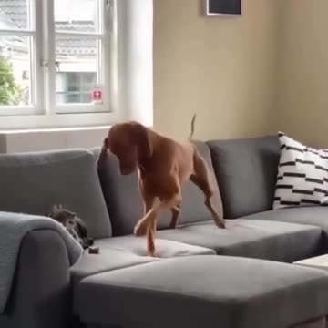 Intimidation followed by claiming the prize