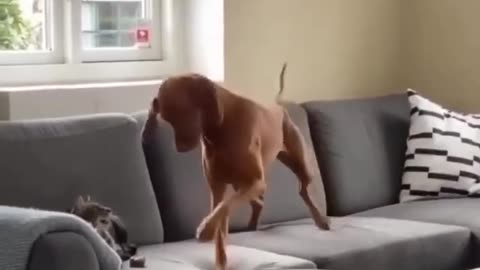 Intimidation followed by claiming the prize