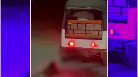 Greater Noida: Auto Driver Arrested for Dragging Dog
