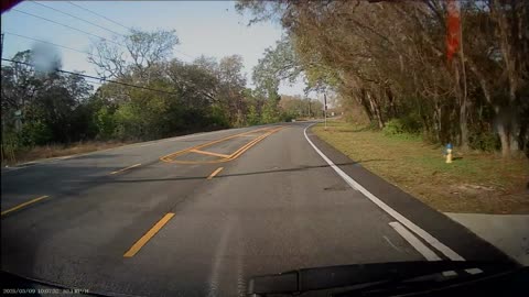 Voice Message Interrupted By Jumping Deer