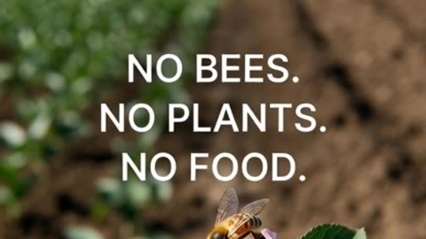 When Regulation Undermines Pollination: A Food Security Warning