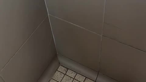 that was a huge spider..😳