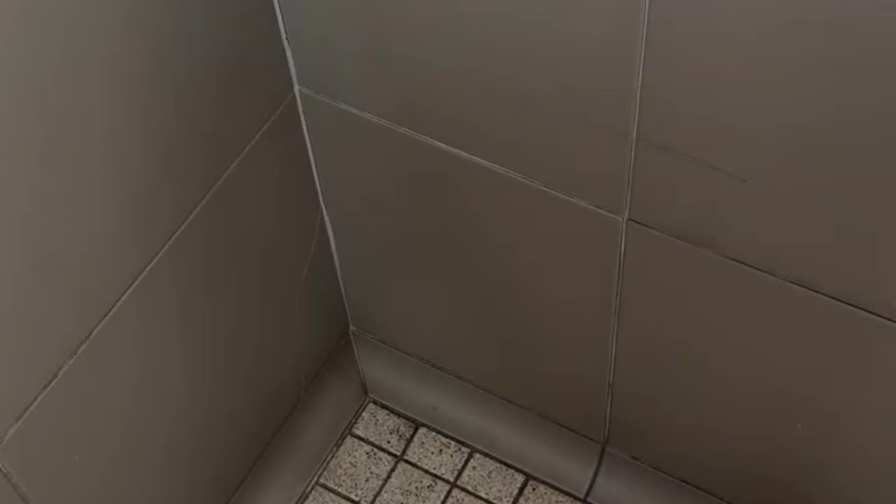 that was a huge spider..😳