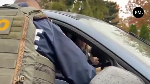 Mentally ill woman attacks ICE