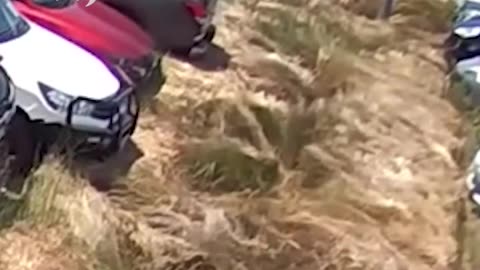 Rothschild BlackRock WEF Power...