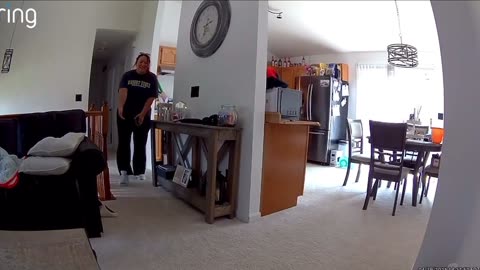 Dog Sitter Crop Dusts Dog