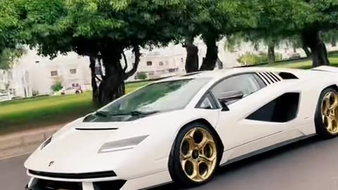 🤯🏎️ Pure Power Unleashed: Watch This Hypercar in Action | LuxurySportsCars