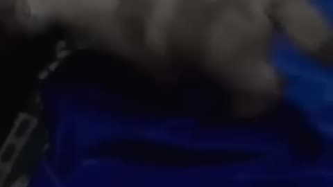 Funny Cat Fails