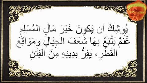 12-يُوشِكُ أنْ يَكونَ خَيْرَ مَالِ المُسْلِمِ غَنَمٌ يَتْبَعُ بهَا شَعَفَ الجِبَالِ