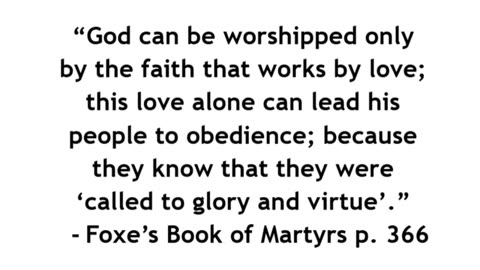 Foxe's Book of Martyrs: Book IX., Section III. c.
