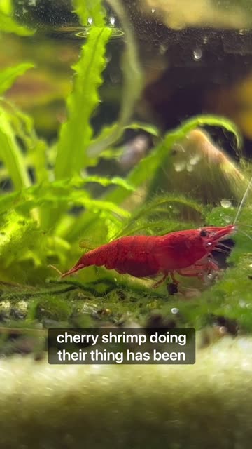 400 Day Indoor Ecosystem!