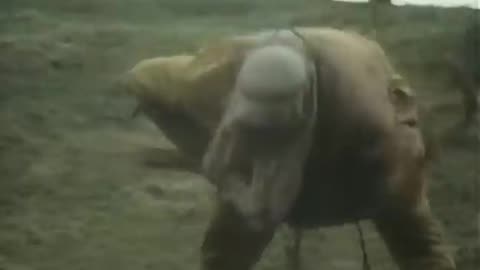 Spandau Ballet - Musclebound