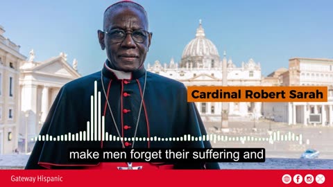 Cardinal Sarah: "Man, where are you?"