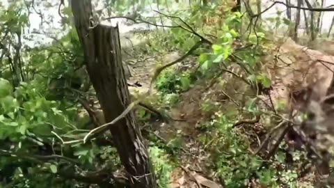 ⚔️🔥 Ukraine Russia War | Shamanbat Soldiers Ambush Russian Forces at Frontline | RCF