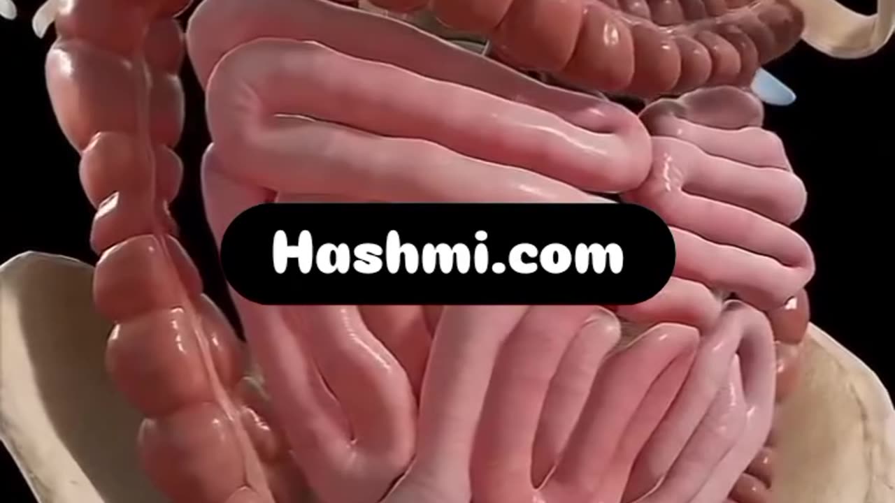 सिर्फ ₹1.50 का यह जादुई नुस्खा! पेट की 300+ समस्याओं को कहें अलविदा—गैस, कब्ज,