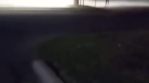 😨🍂 Is It Just a Leaf or Something More Sinister? | TheHauntingHour