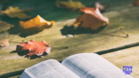 “Saturday is the Sabbath” is FAKE NEWS