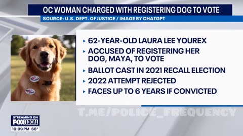A California woman registered her dog to vote and sent mail-in ballots on behalf of her dog