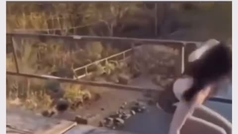 #funny videos
