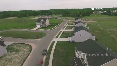 40 Acres and a Mule