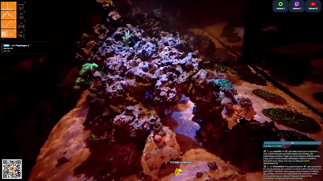 24/7 Real Live Reef Stream