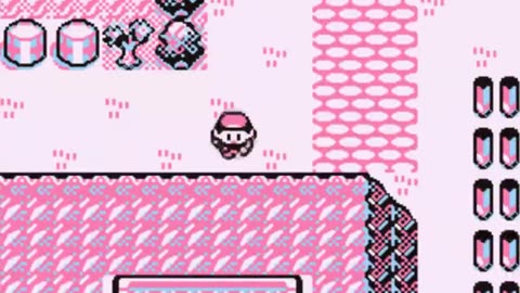 Pokémon Blue - Walkthrough/Videonávod 30 [EN/CZ]