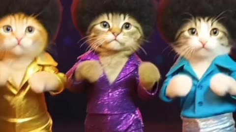 Cats Are Dancing, "Staying Alive." (CC)
