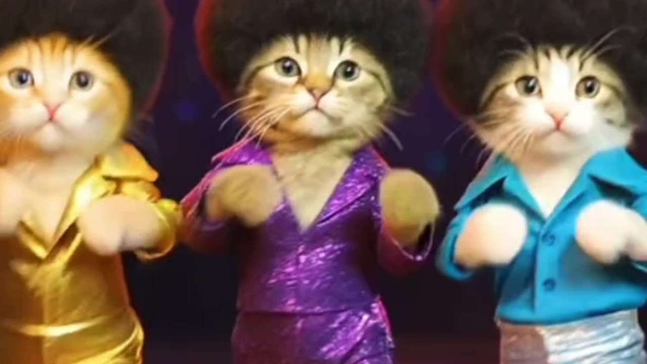 Cats Are Dancing, "Staying Alive." (CC)