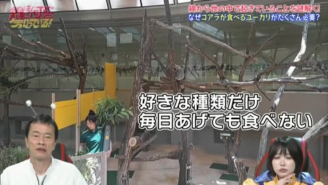 線は何でも知っている！謎解きGPS追跡団 第1回