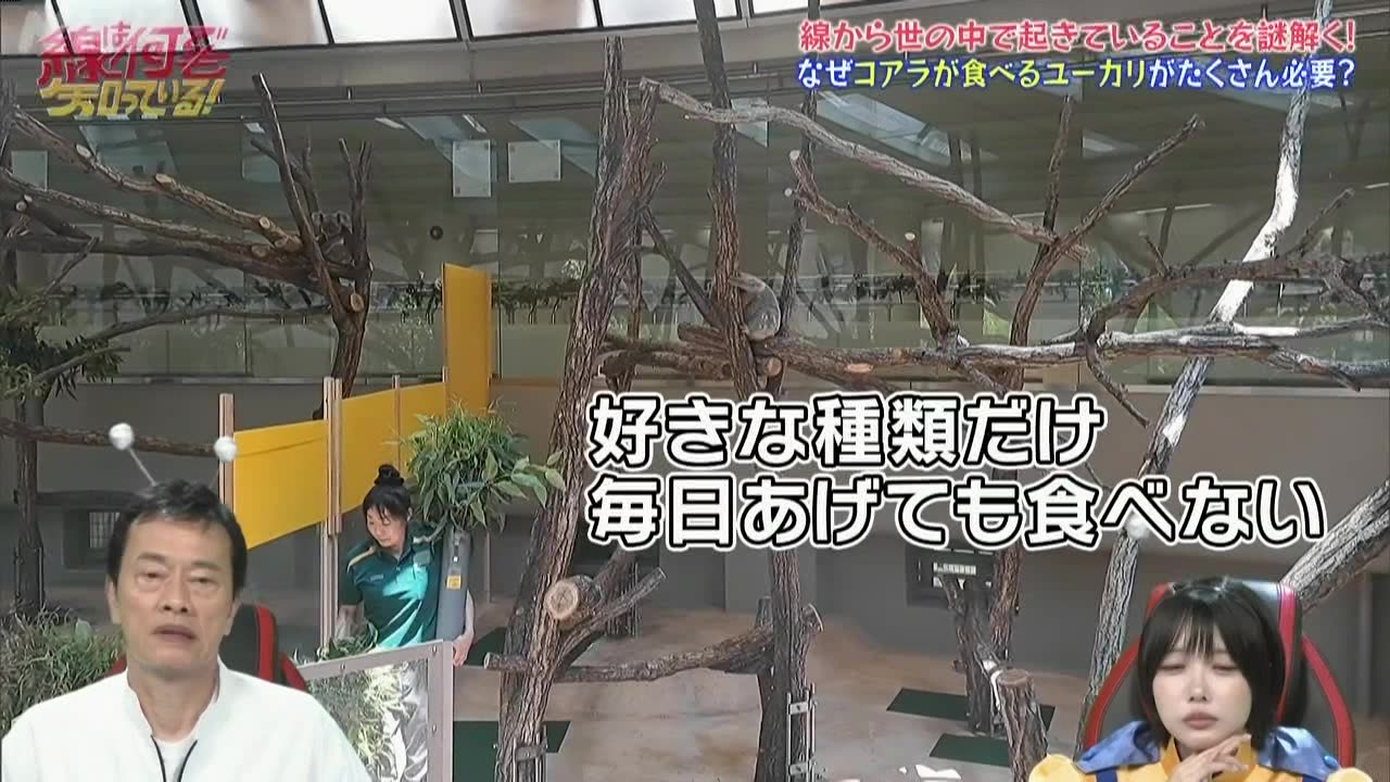 線は何でも知っている！謎解きGPS追跡団 第1回
