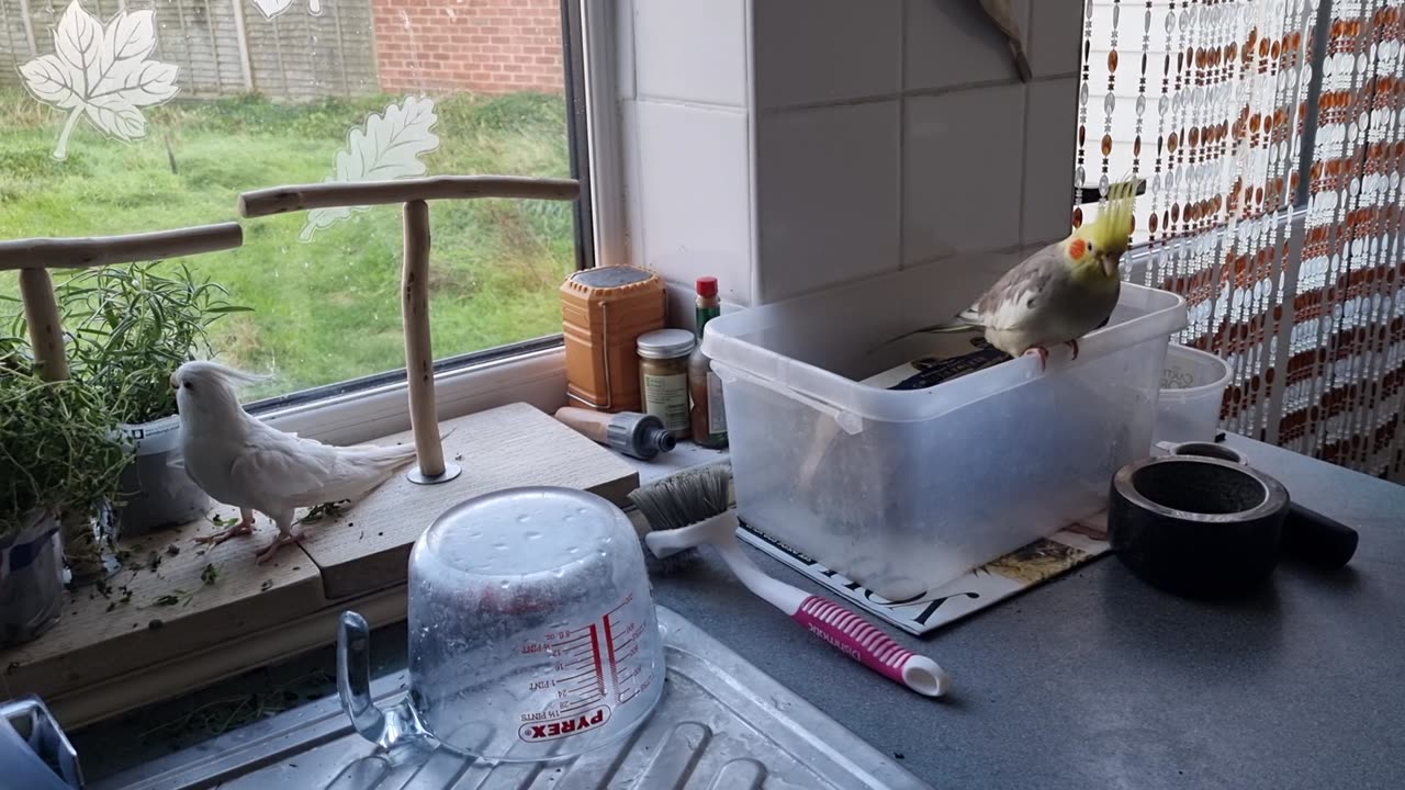 The Tiels in the Kitchen