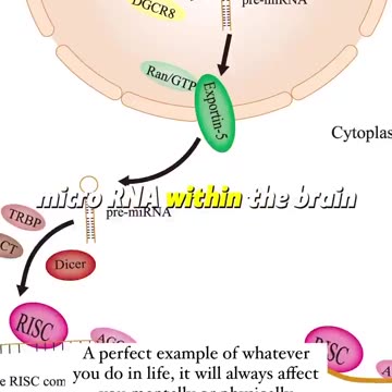 Educational Purposes Only..!