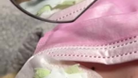 Hybrid Set of Lashes 💖 Follow me on IG...