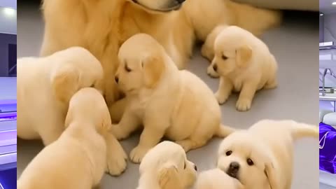 Cutest Animals of the Week: Baby Animals and Their Funniest Moments in One Video!