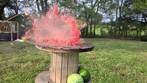 Pew Pew. Impromptu Watermelon Party. 09.23.2025