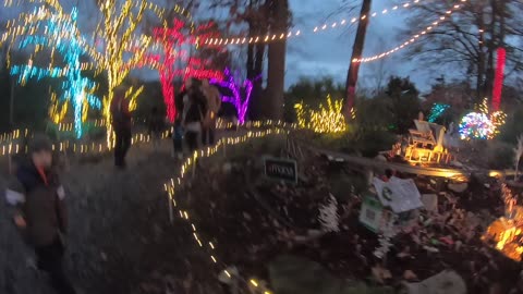 Atlanta botanical garden vlog (Christmas lights) 