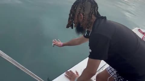 Tarpon Fish Feeding Gone Wrong