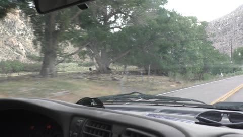 Strong wind came through here, allowing the bnkywuv creature to film CATTLE!!