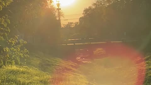 Wow what is this? day 2, pt 5