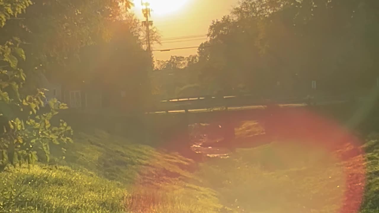 Wow what is this? day 2, pt 5