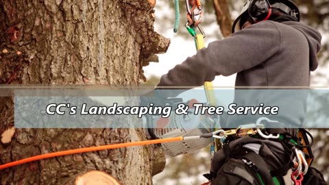 CC's Landscaping & Tree Service
