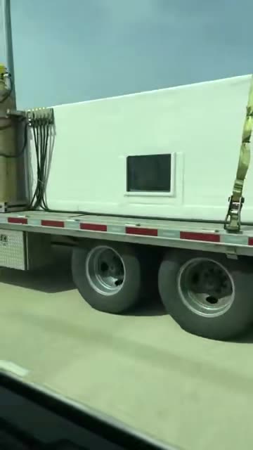 Sharks are being transported on a highway. pretty cool!