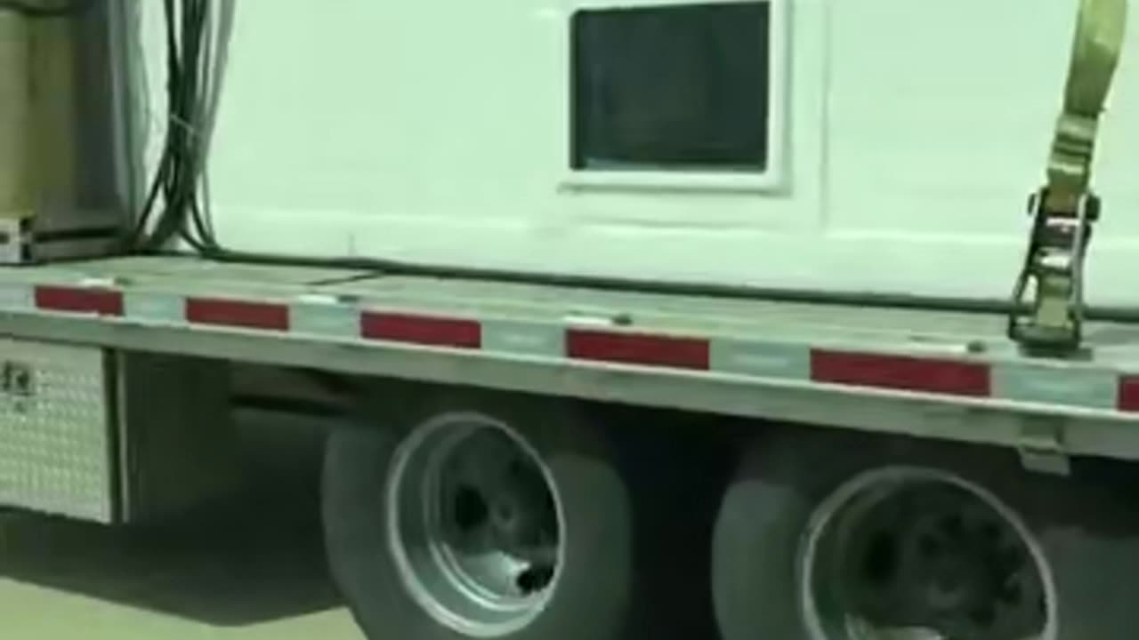 Sharks are being transported on a highway. pretty cool!