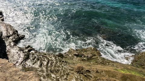 Hangout Afternoon La Jolla Cliff View Amazing Clear Water #zen #chill #ocean San Diego California