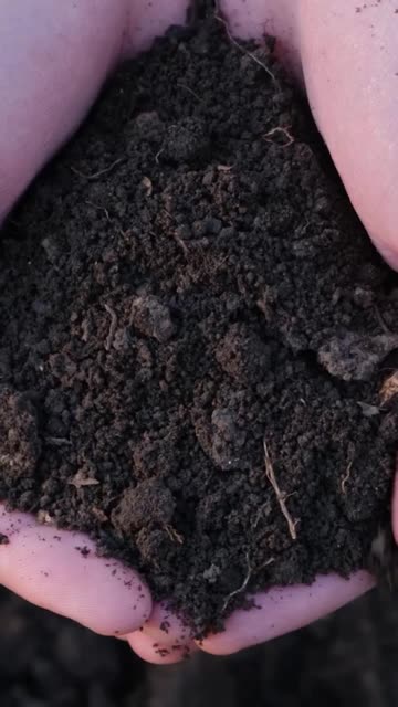 🪱Worms = Faster Compost?! Try This Trick!