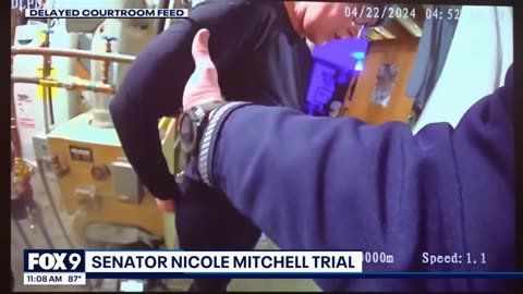 Police bodycam reveals Sen. Nicole Mitchell's burglary arrest
